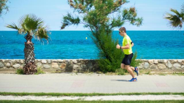 Un Petit Nid Les Pieds Dans L'Eau Lejlighed Argelès-sur-Mer Eksteriør billede