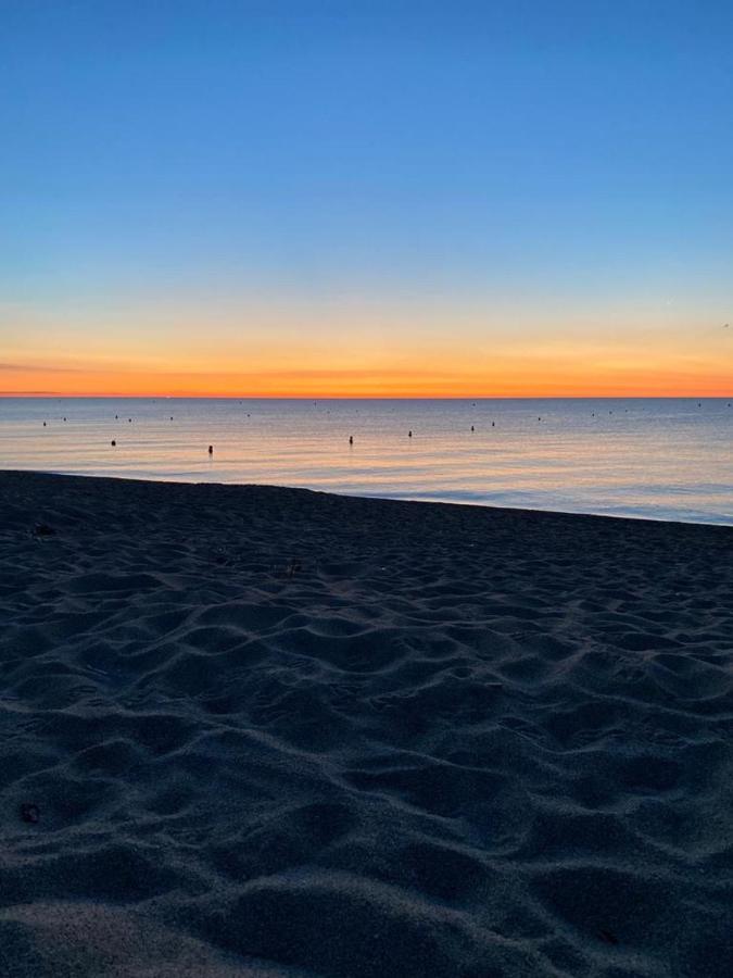 Un Petit Nid Les Pieds Dans L'Eau Lejlighed Argelès-sur-Mer Eksteriør billede